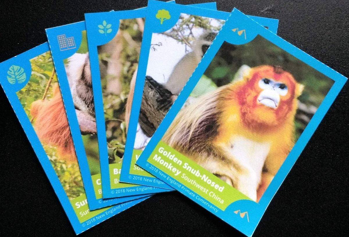 Go Ape! Travel Card Game for Kids - Twist on Go Fish - Act Out