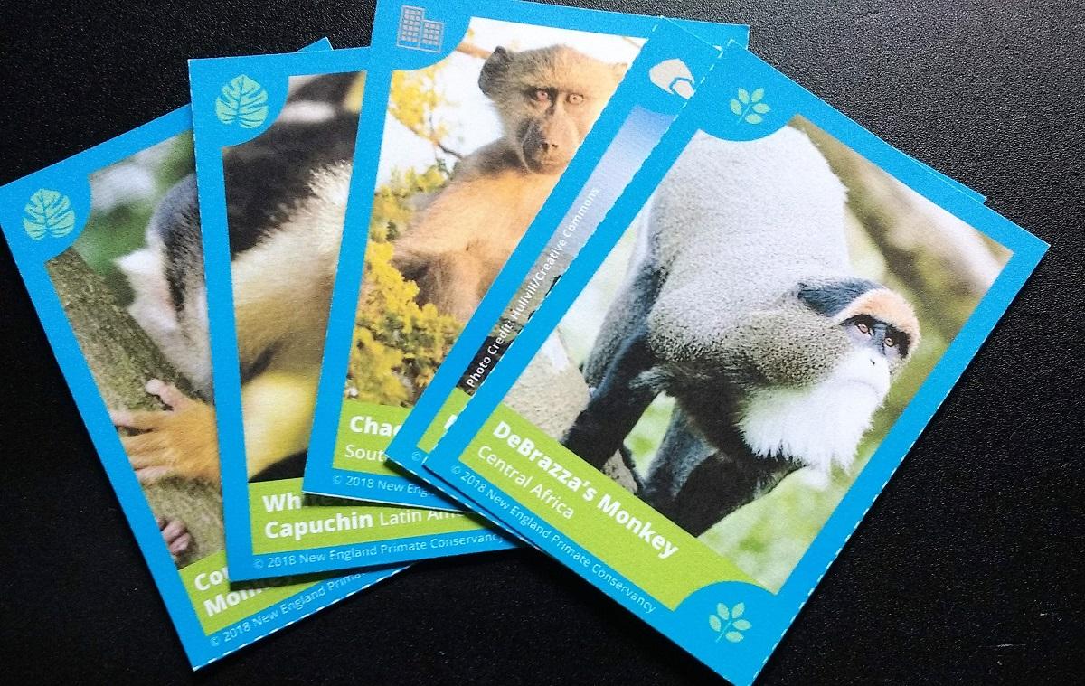 Go Ape! Travel Card Game for Kids - Twist on Go Fish - Act Out