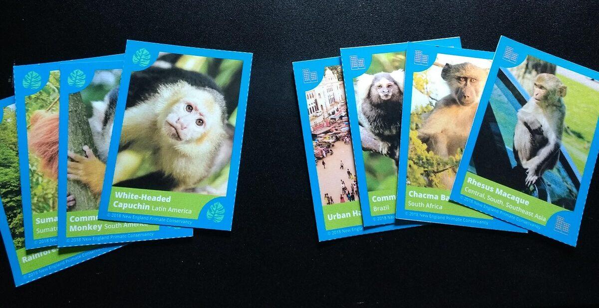 Go Ape! Travel Card Game for Kids - Twist on Go Fish - Act Out