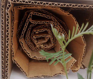 cardboard