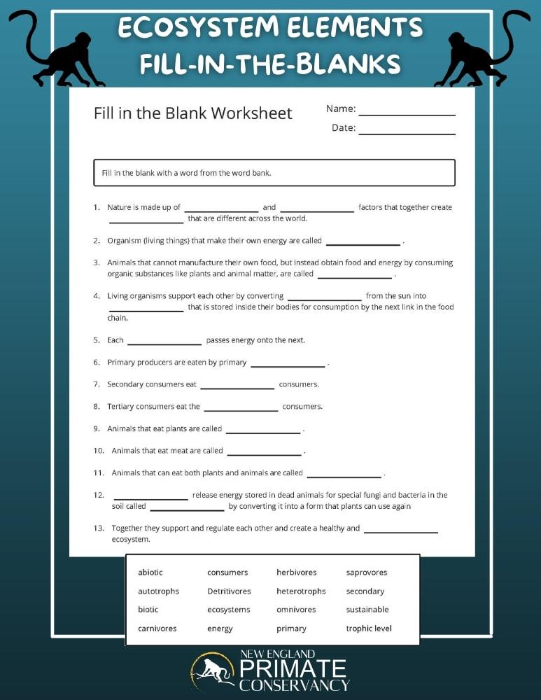 ecosystem-elements_orig