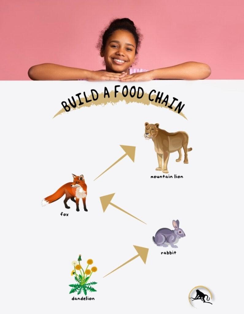 food-chain-2_orig