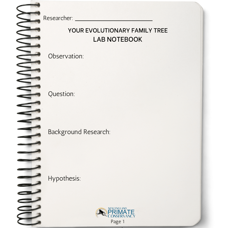 lab-notebook-evolutionary-family-tree-intro_orig