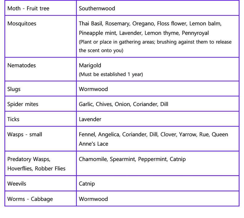 pest-prevention-table-2