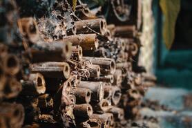 wayne-m-4nu3wu34tha-unsplash
