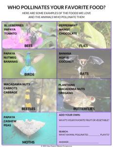 who-pollinates-your-food-resize_orig
