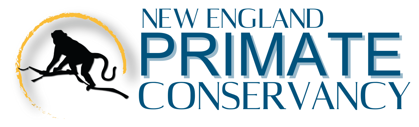 new england regional primate research center