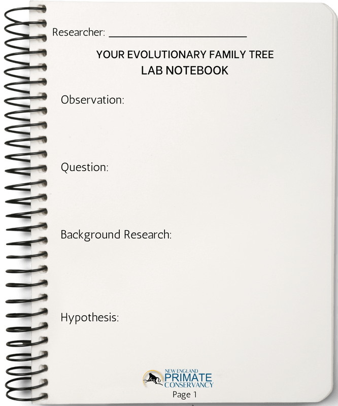 notebook-page-1_orig