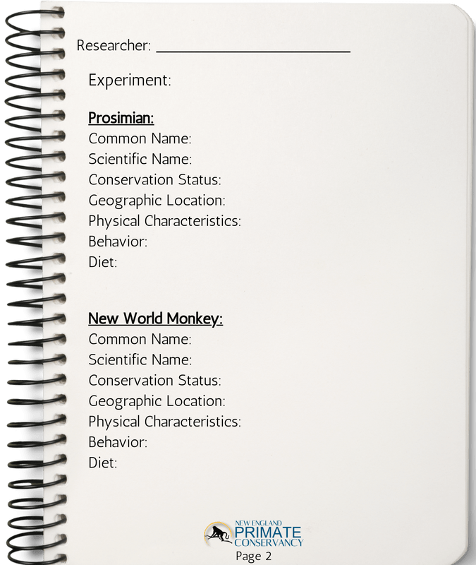 notebook-page-2_orig
