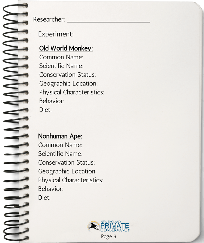 notebook-page-2_orig