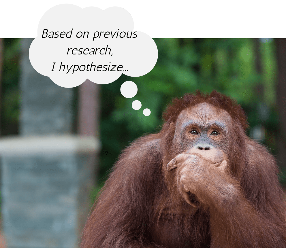 orangutan-thought-bubble_orig