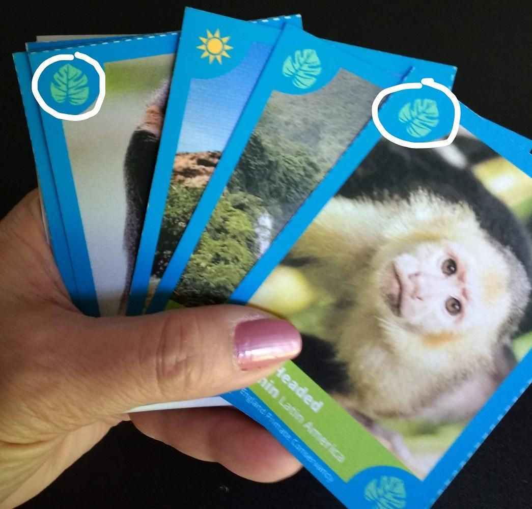 Game Three Solitaire | New England Primate Conservancy