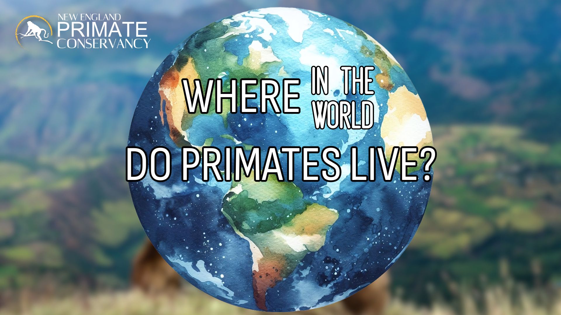 Where in the World Do Primates Live?