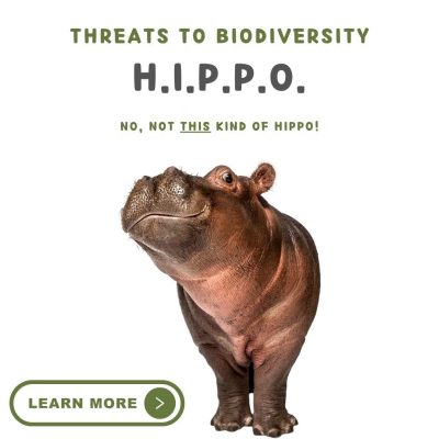 Threats to Biodiversity